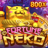 Video Slot