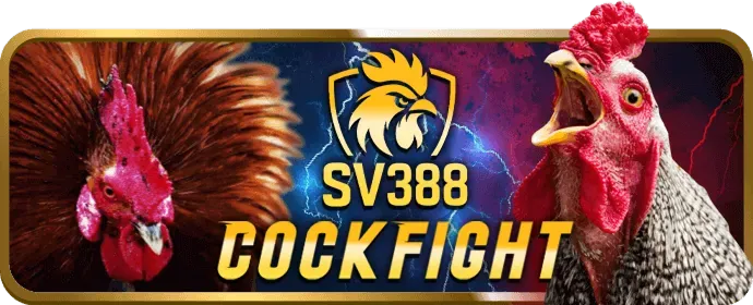 Sodo14 casino trực tuyến với dealer người thật